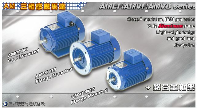 AM三相感應馬達